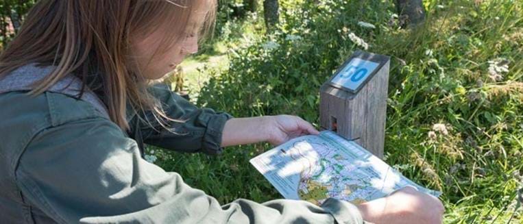 Sensibilisation Arboriculture