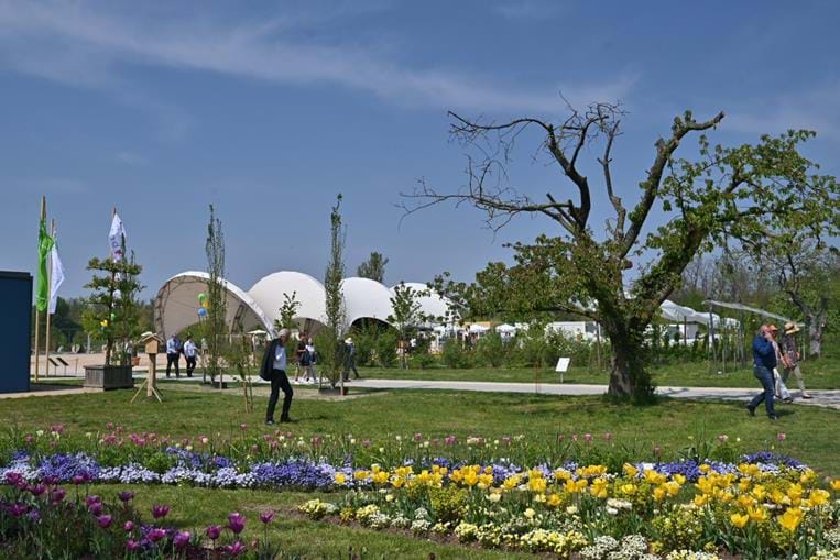 Neuenburg am Rhein