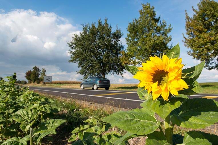 Route départementale