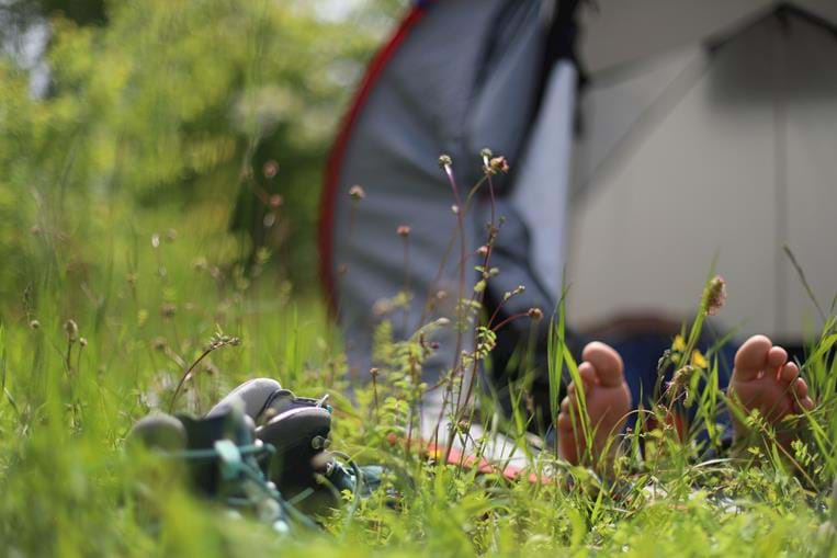 Saison estivale au Vaisseau