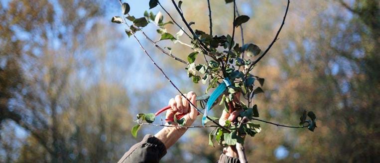 Jeu concours Sainte-Catherine