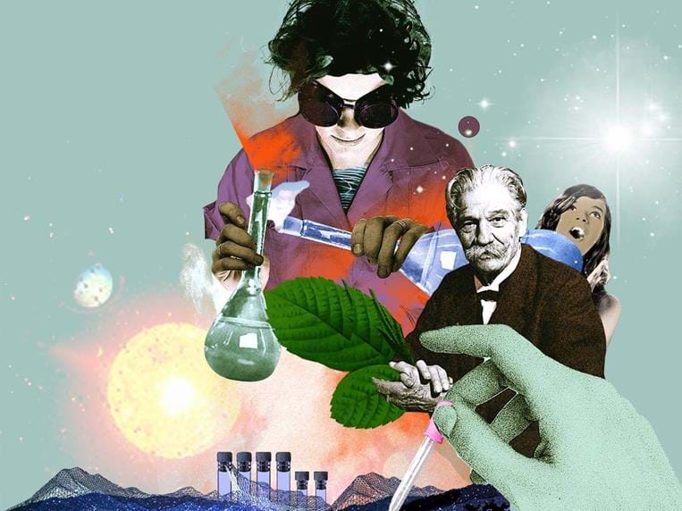 Festival de la science