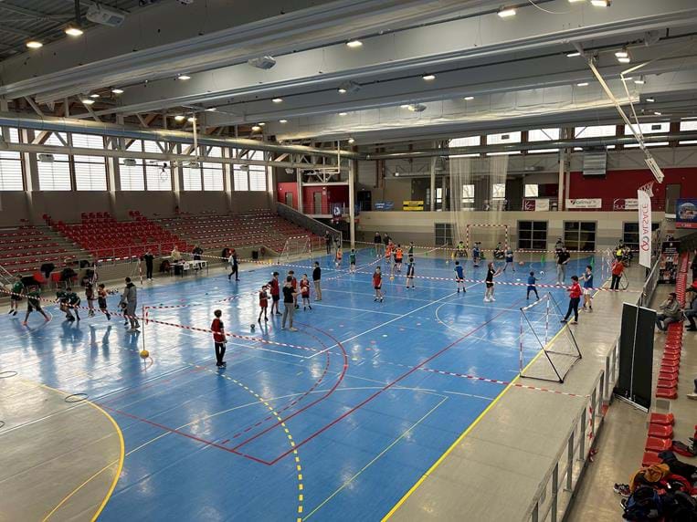 Tournée des Lions - Colmar