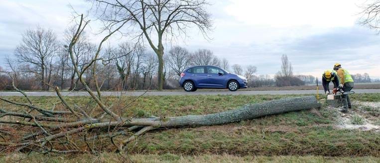 Entretien lisières boisées