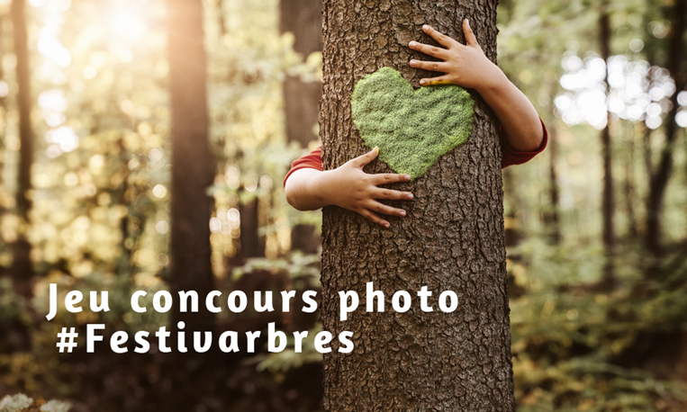 Jeu Concours Festiv'arbres
