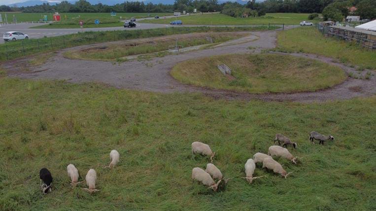 Bassins d'assainissement