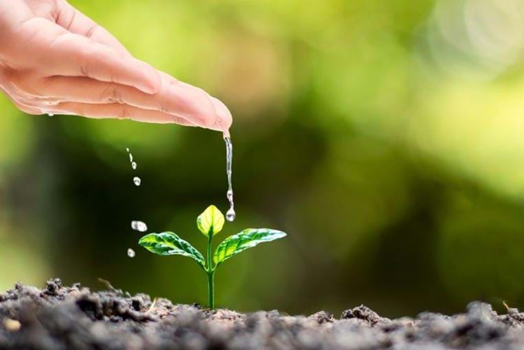 Assises de l'eau 2025