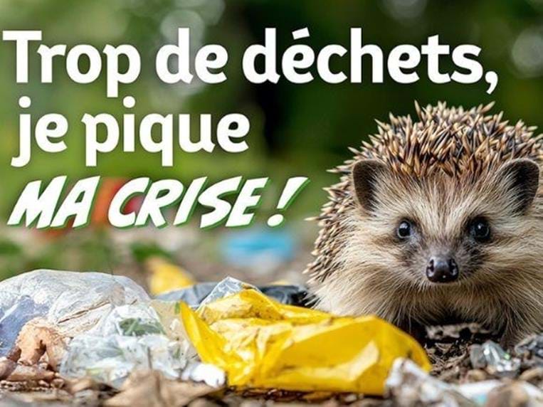 Elsàss Oschterputz