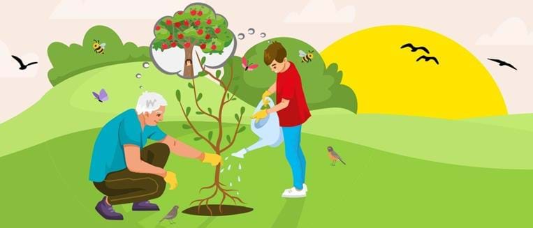 Concours arbres de la Sainte-Catherine