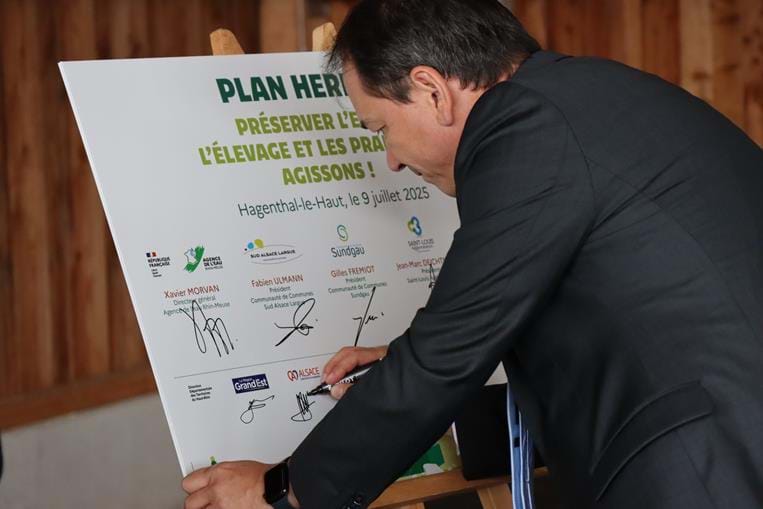 Signature Plan Herbe